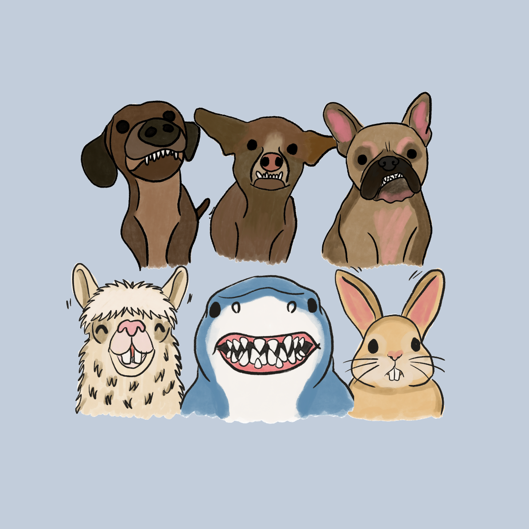 Maloclusiones explicadas con perritos