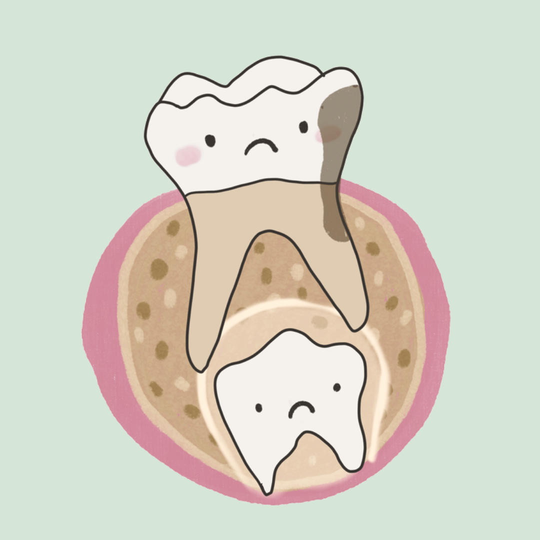 La importancia de los dientes primarios